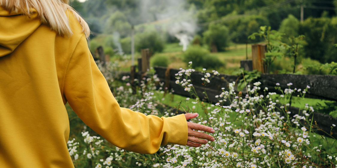 The Healing Way of Nature. Urban life Giving you Stress Overload? Try a Prescription to Forest Bathing - Photo 1